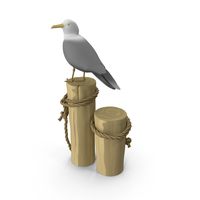 Cartoon Seagull PNG & PSD Images