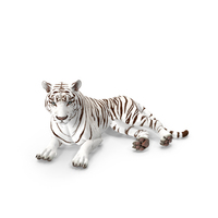 Lying White Tiger PNG & PSD Images