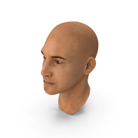 Male Head PNG & PSD Images