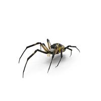 McKinley Spider PNG & PSD Images
