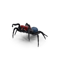 Mouse Spider Fighting Pose with Fur PNG & PSD Images