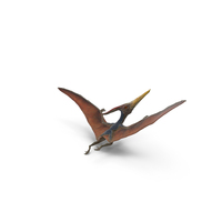 Pteranodon Flying PNG & PSD Images