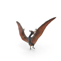 Pteranodon Landing Pose PNG & PSD Images