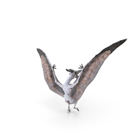 Pterosaur Pteranodon Landing PNG & PSD Images