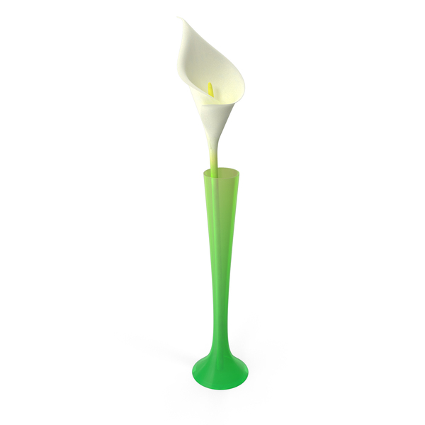Calla Lily PNG Images & PSDs for Download | PixelSquid - S111823067