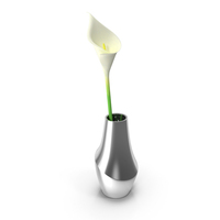 Modern Vase With Flower PNG & PSD Images