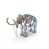 Adult Mammoth Old Skeleton Shell PNG & PSD Images