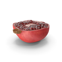 Pomegranate Cross Section PNG & PSD Images