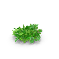 Bunch of Parsley PNG & PSD Images