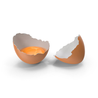 Cracked Egg Shell PNG & PSD Images