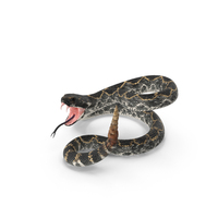 Dark Rattlesnake Attack Pose PNG & PSD Images