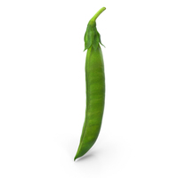 Fresh Pea Pod Closed PNG & PSD Images