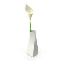 Modern Vase with Flower PNG & PSD Images