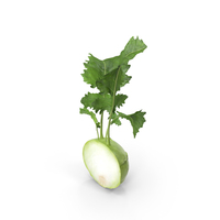 Kohlrabi or German Turnip Half PNG & PSD Images