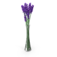 Lavender in Vase PNG & PSD Images