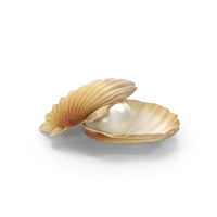 Pearl in Shell PNG & PSD Images