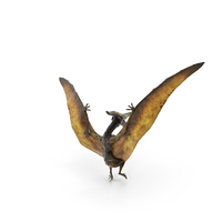 Pteranodon Flying Carnivorous Reptile Landing Pose PNG & PSD Images