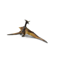 Pteranodon Flying Carnivorous Reptile Standing Pose PNG & PSD Images