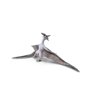 Pterosaur Pteranodon White Standing Pose PNG & PSD Images