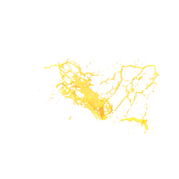 Yellow Splash PNG & PSD Images