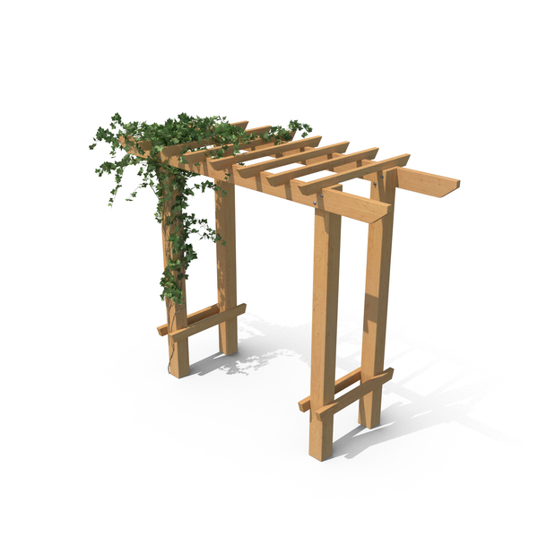 Trellis With Ivy PNG & PSD Images