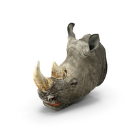 Adult Rhino Head Fur PNG & PSD Images