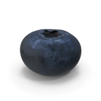 Blueberry PNG & PSD Images