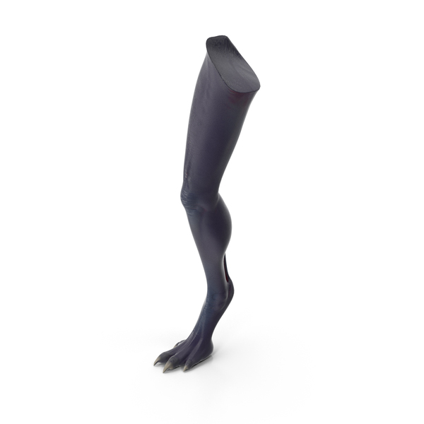 Scary Creature Leg PNG & PSD Images