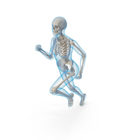 Female Body with Skeleton Running Pose PNG & PSD Images