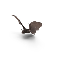 Flying Black Bat Fur PNG & PSD Images