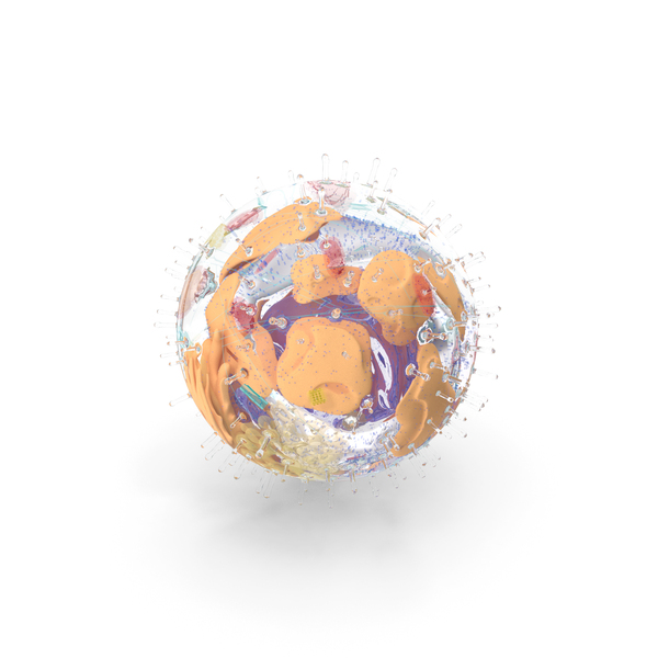 Human Cell PNG & PSD Images