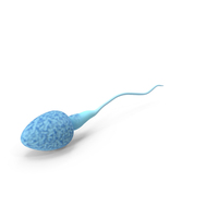 Sperm PNG & PSD Images