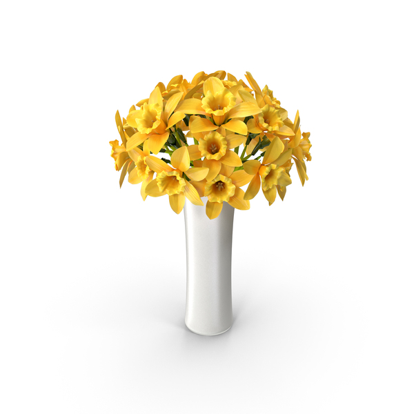 Narcissus Bouquet PNG & PSD Images