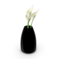 Modern Vase with Flowers PNG & PSD Images