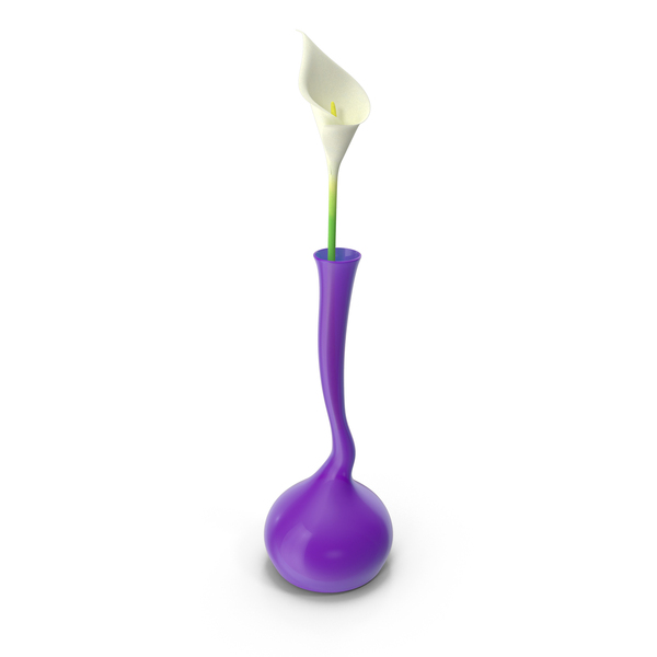 Modern Vase with Flower PNG & PSD Images