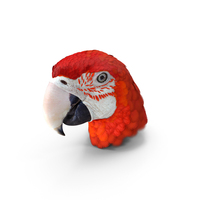 Red and Green Macaw Parrot Head PNG & PSD Images