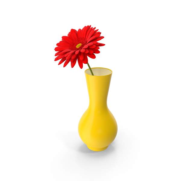 Red Gerbera Daisy In Vase PNG & PSD Images