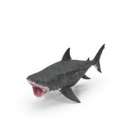 Megalodon Attacking Pose PNG & PSD Images
