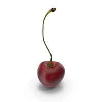 Sour Cherry PNG & PSD Images
