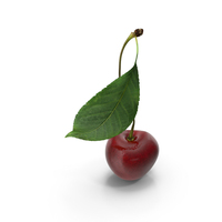 Sour Cherry with Leaf PNG & PSD Images