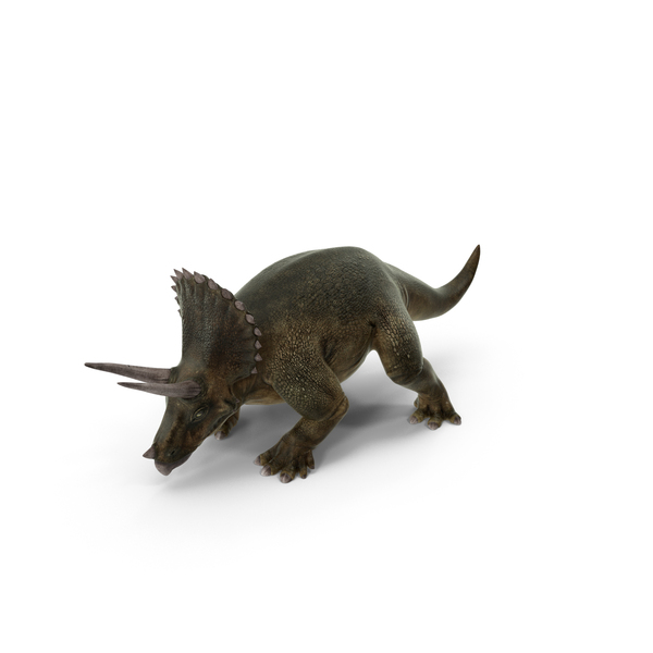 Triceratops Walking Pose PNG & PSD Images