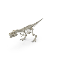 Tyrannosaurus Rex Skeleton Walking Pose PNG & PSD Images