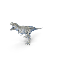 Tyrannosaurus Rex Skeleton with Skin Standing Pose PNG & PSD Images