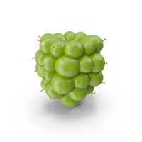 Unripe Green Blackberry Fruit PNG & PSD Images