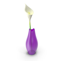 Modern Vase with Flower PNG & PSD Images