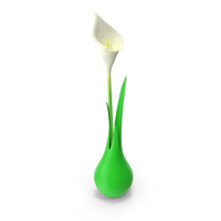 Modern Vase with Flower PNG & PSD Images