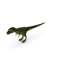 Dinosaur Tirannosaur Rex PNG & PSD Images