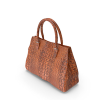 Crocodile Leather Handbag PNG & PSD Images