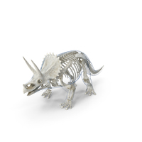 Triceratops Skeleton Standing Pose With Transparent Skin PNG & PSD Images