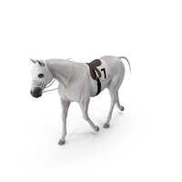 White Racehorse Gait Pose Fur PNG & PSD Images